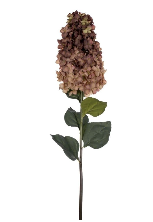 Dried hydrangea flower on stem for fall.