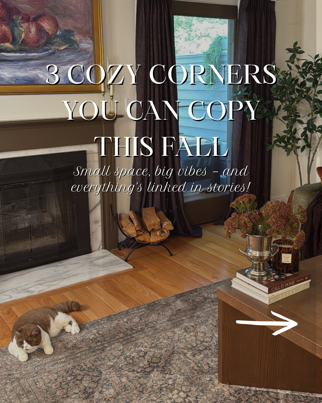 Cozy living space with cat.