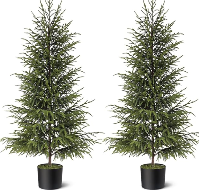 Pair of realistic artificial Norfolk Pine Christmas trees in black pots. Perfect for cozy home entryways, small spaces, or traditional holiday decorating. Their natural, minimalist look adds timeless charm to Christmas styling with a touch of rustic elegance.