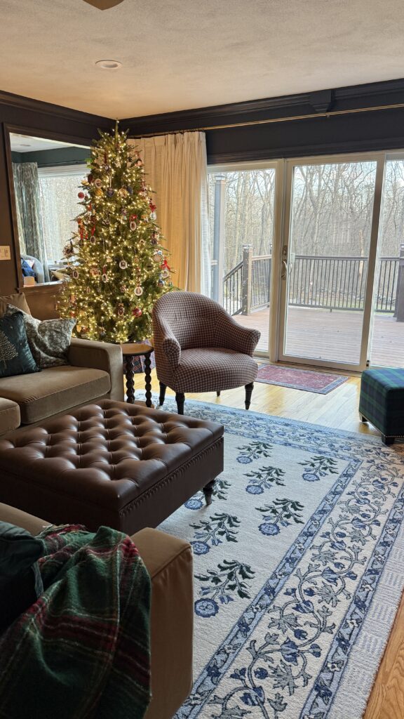 Cozy living room with Christmas tree