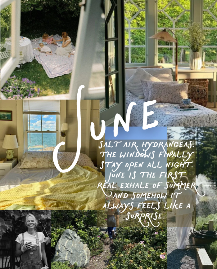 june new england moodboard salt air hydrangeas open windows summer bedroom