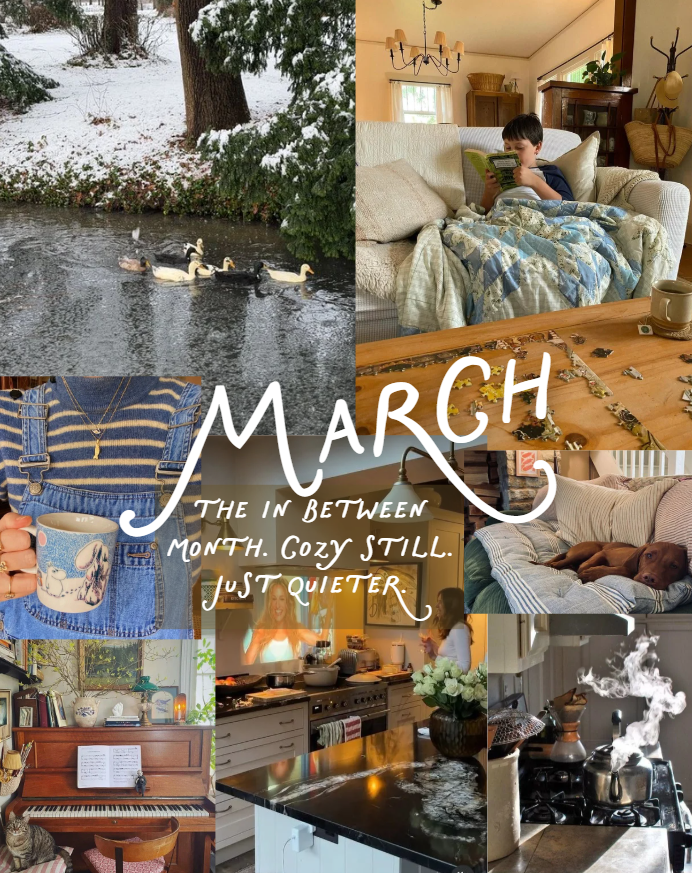 march new england moodboard in between season not quite winter not quite spring ducks cozy