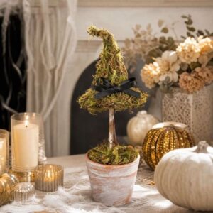 Witch Hat Topiary, an October find from the Home with Em New England in October list