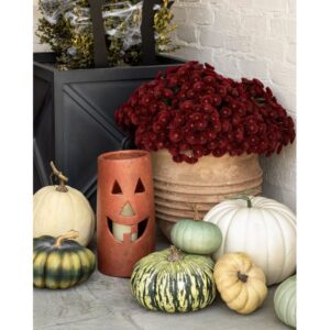Faux Mum Drop-In