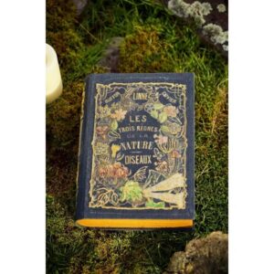 Halloween Spell Book Linen-Wrapped Box