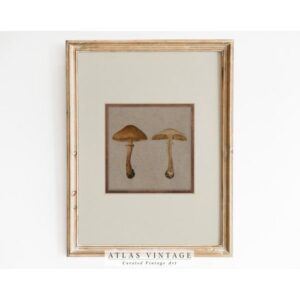 Vintage Mushroom Painting | Rustic Fall Wall Art (Digital Download)