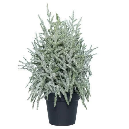 My Texas House Snow Flocked Evergreen in Pot from Walmart